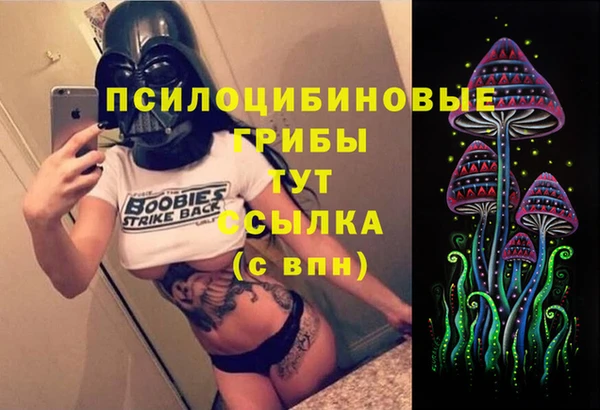 MESCALINE Инсар