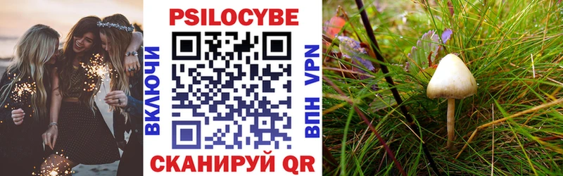 Псилоцибиновые грибы Psilocybe Скопин